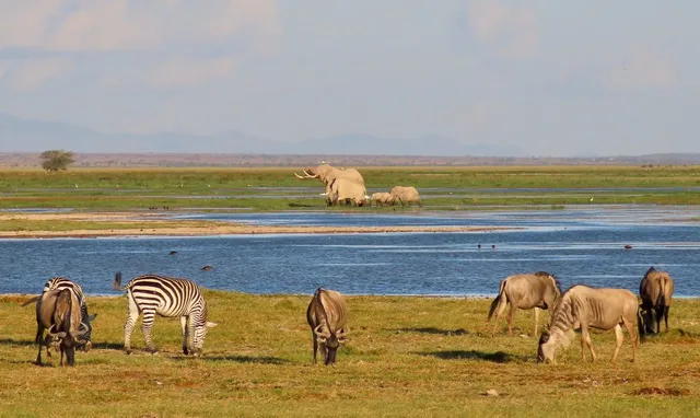 Exploring Tsavo East and Tsavo West: Kenya’s Hidden Safari Gems