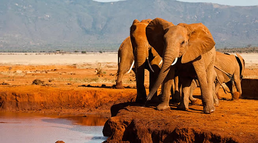 Why Tsavo is Called the Land of Giants